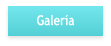 Galería