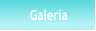 Galería